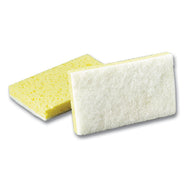 (Niagara)3M SCOTCH-BRITE  (3.6