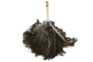 Duster Ostrich feathers 24"x5"x3"